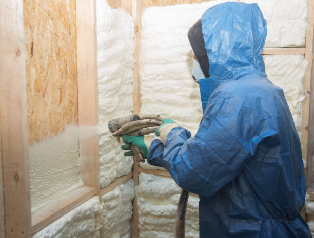 Best Attic Insulation Installation  in Masonville, KY